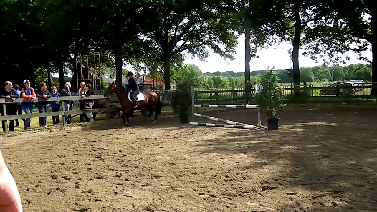 Springwedstrijd Stal Eikelboom Lise en Otje