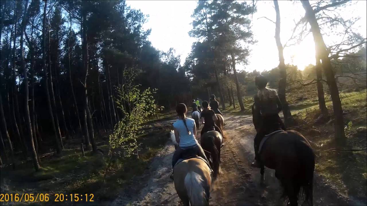 Buitenrit Stal Eikelboom