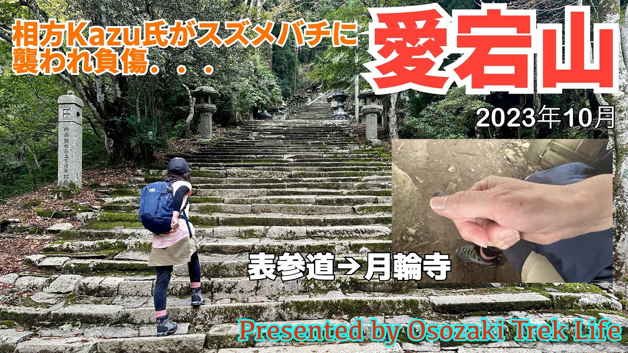 【愛宕山 登山】表参道ルートで登り月輪寺ルートで下る周回コース！相方Kazu氏がスズメバチに襲われ負傷．．．　2023年10月