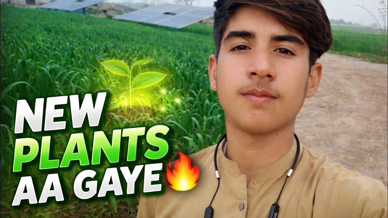 Finally new plants a gay