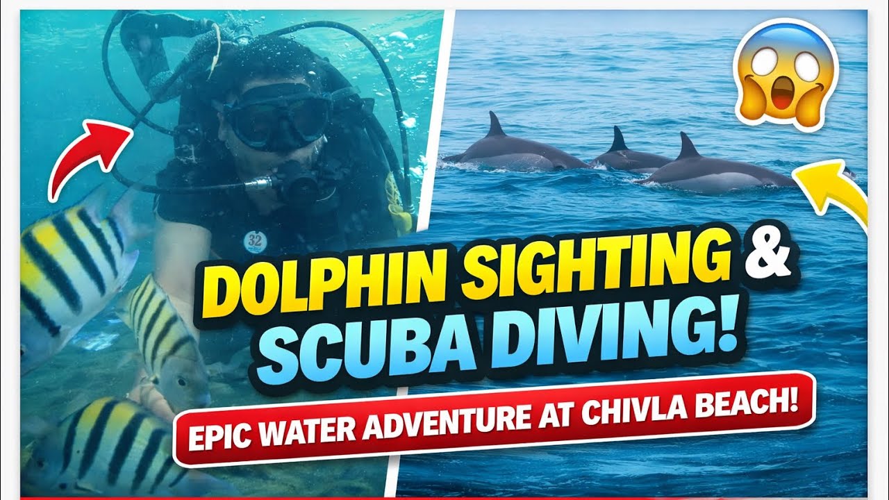 Dolphins Just 10 Feet Away! 🐬 Scuba Diving at Chivla Beach Malvan #shorts #youtubeshorts @MrBeast 