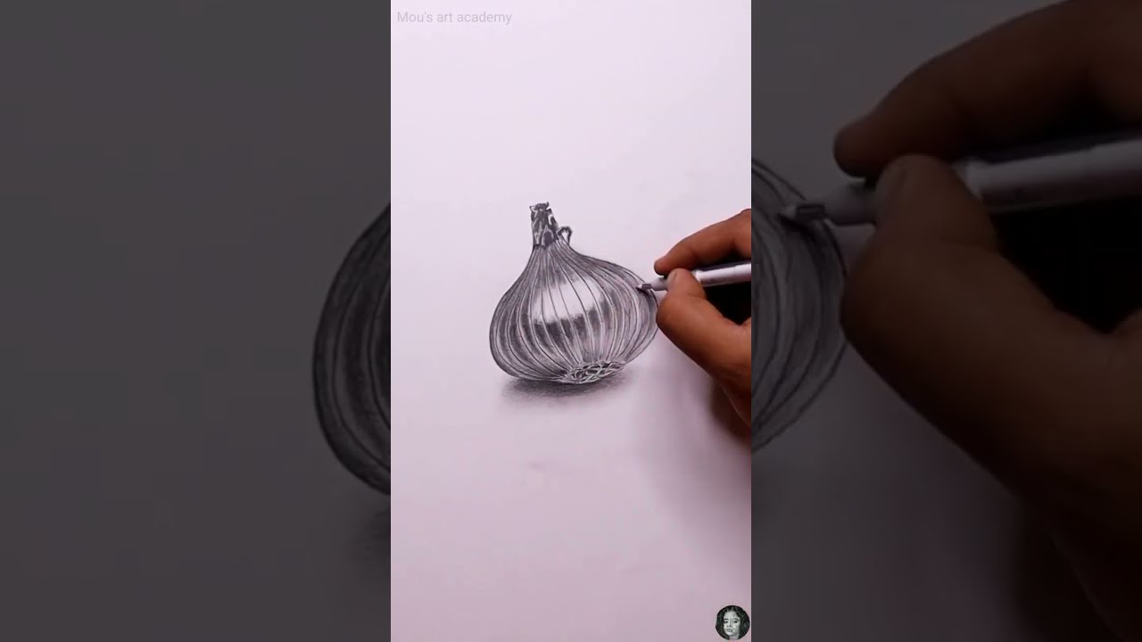 Realistic Onion drawing  with graphite pencil 😍