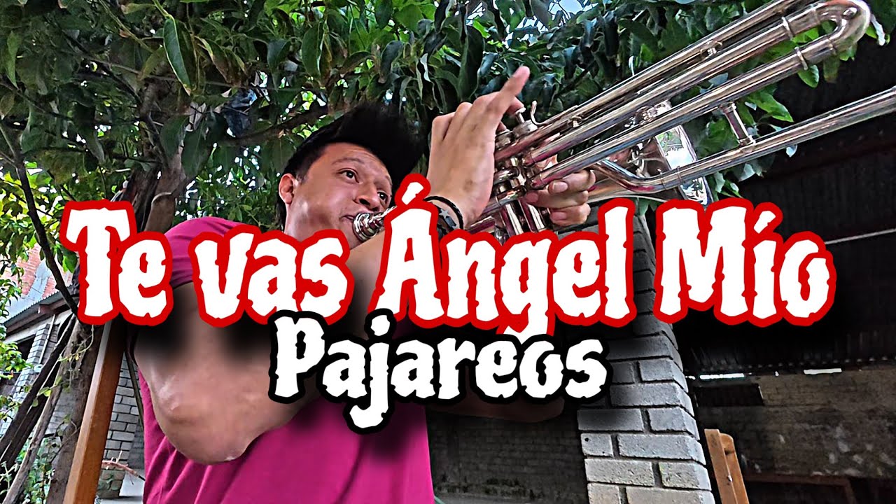 PAJAREANDO EN TE VAS ÁNGEL MÍO | Diego Medina 