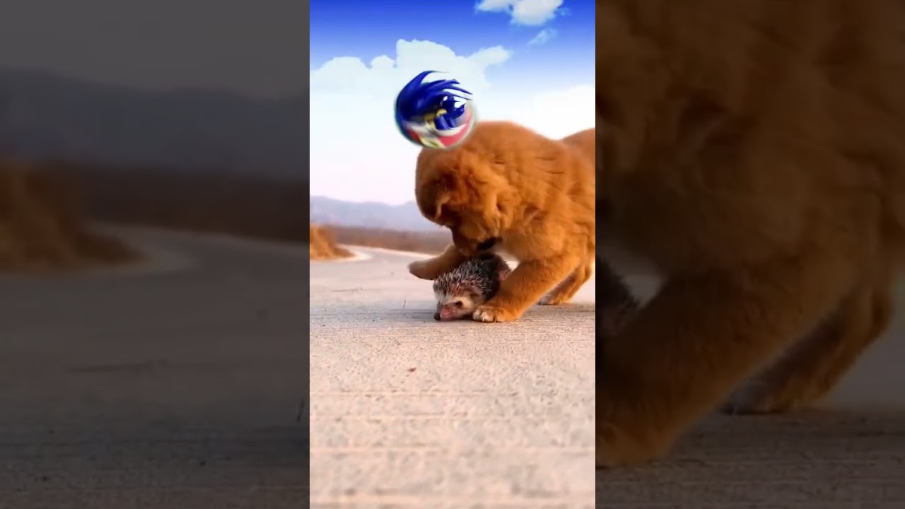 Sonic ratuje jeża