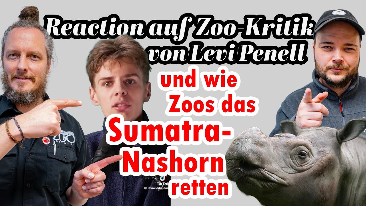 Reaction auf Zoo-Kritik von Levi Penell und wie Zoos das Sumatra-Nashorn retten: Zooh&ouml;ren Folge 3