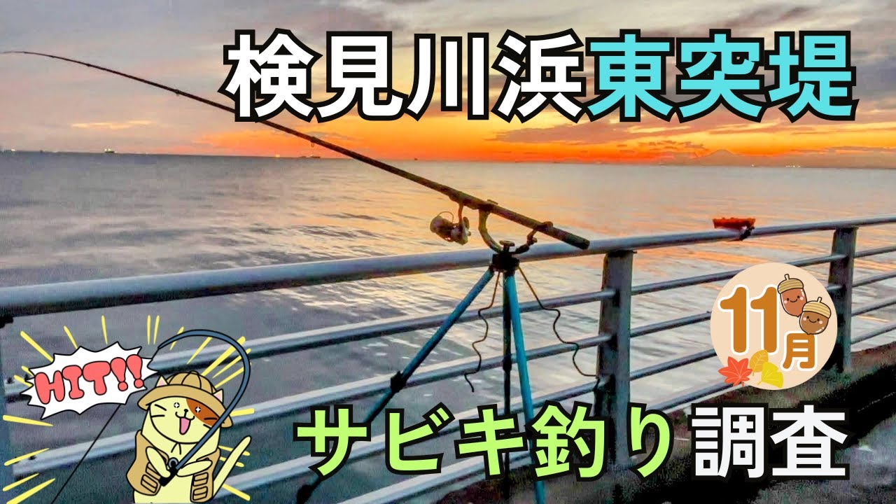 11月の検見川浜東突堤サビキ釣り調査｜激渋の夕マヅメ時に突如到来した時合いに釣れたのは・・