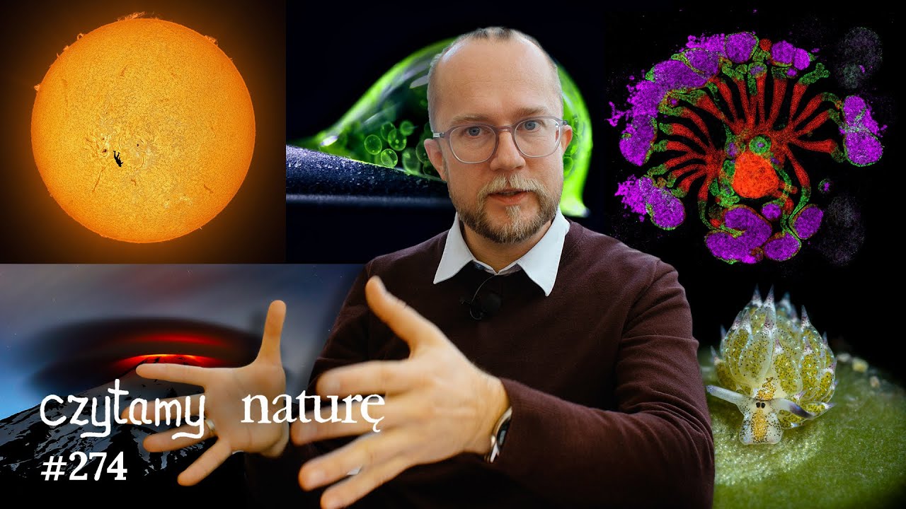 Najpiękniejsze obrazy naukowe roku 2025 | Czytamy naturę #274