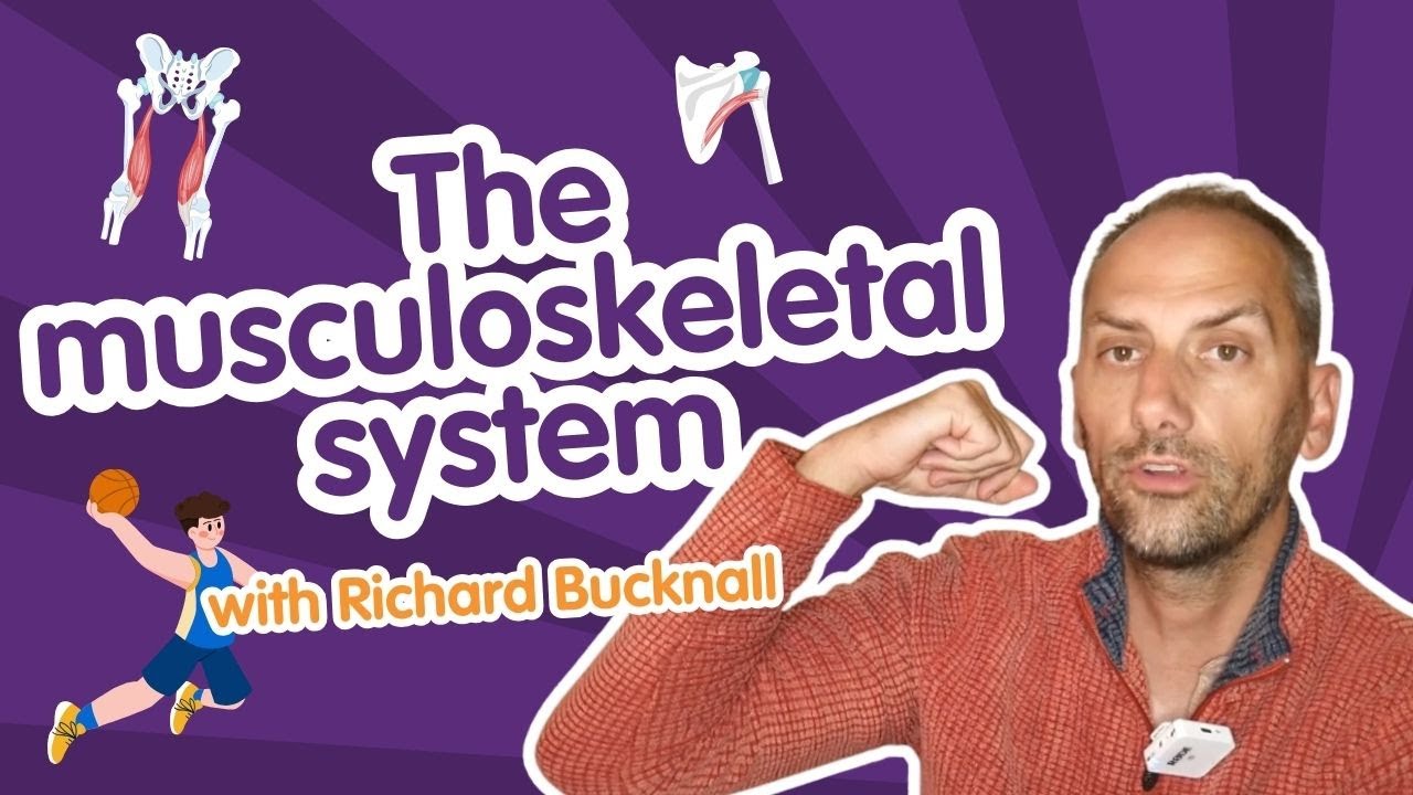 Tricky Topics in PE: The Musculoskeletal System