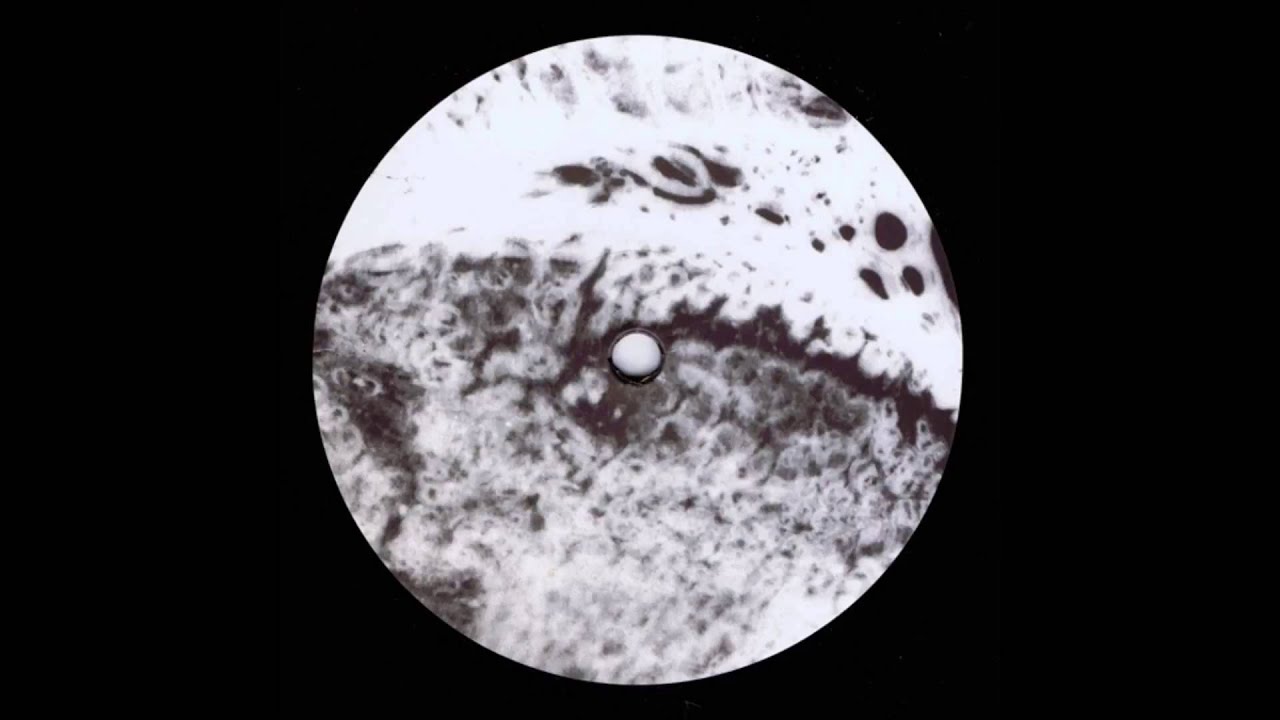 Abdulla Rashim  — Alem Maya 2