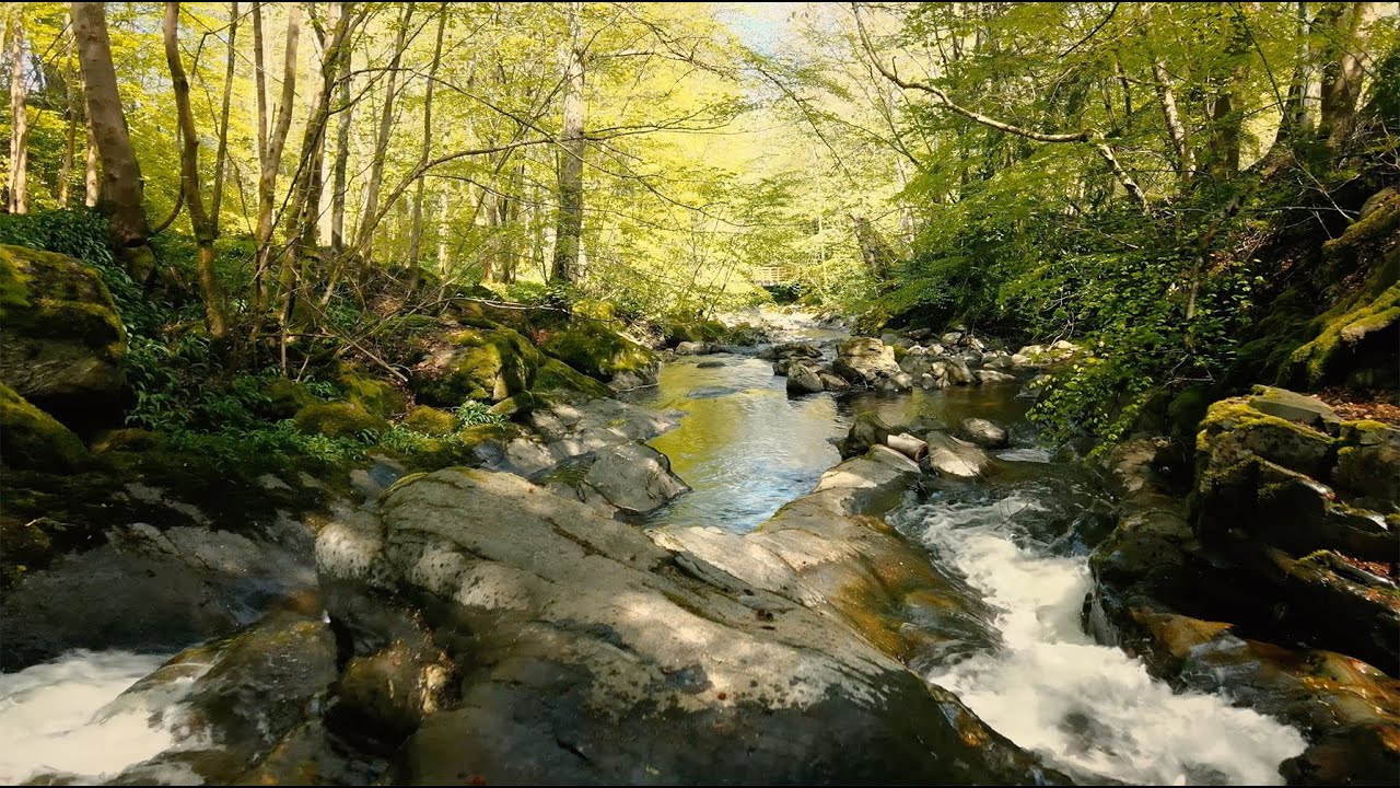 The Birks of Aberfeldy. Highland Perthshire. Scotland.