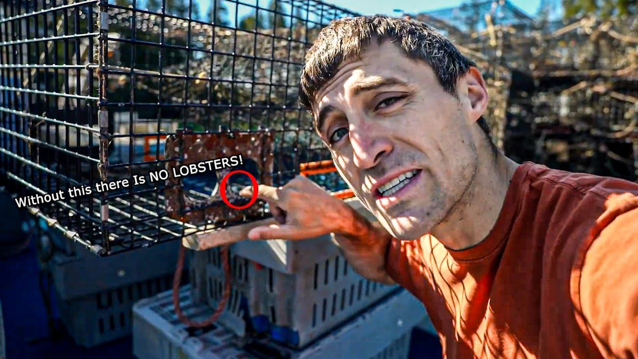 Не самая увлекательная часть ловли лобстеров