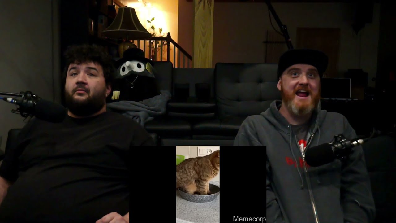 memes that give me weird vibes - @mlgvagabonds | RENEGADES REACT TO