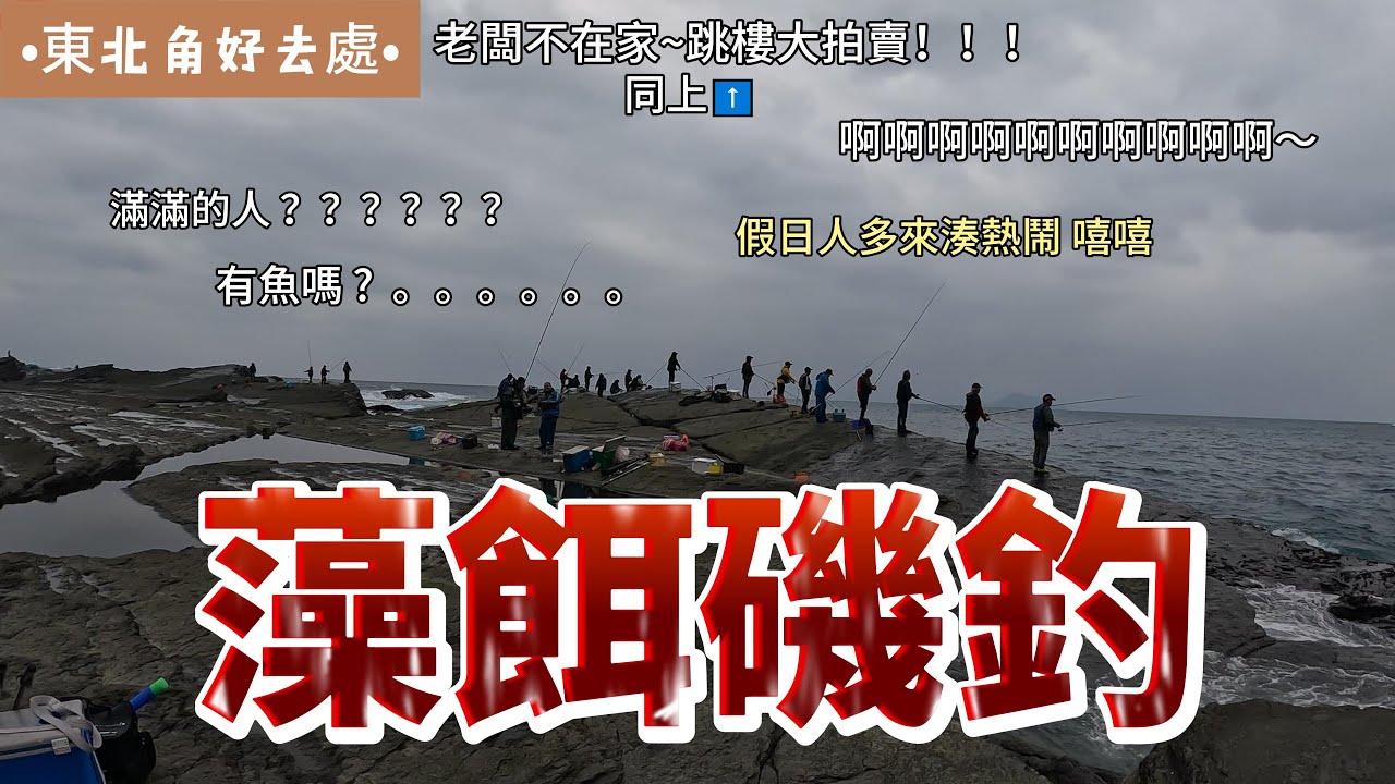 東北角藻磯【生態大調查】
