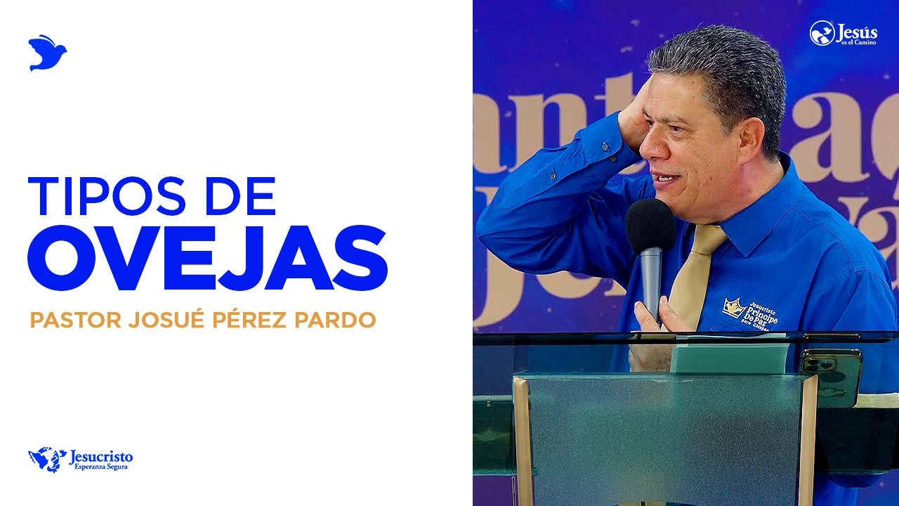 Tipos de ovejas - Pastor Josué Pérez Pardo