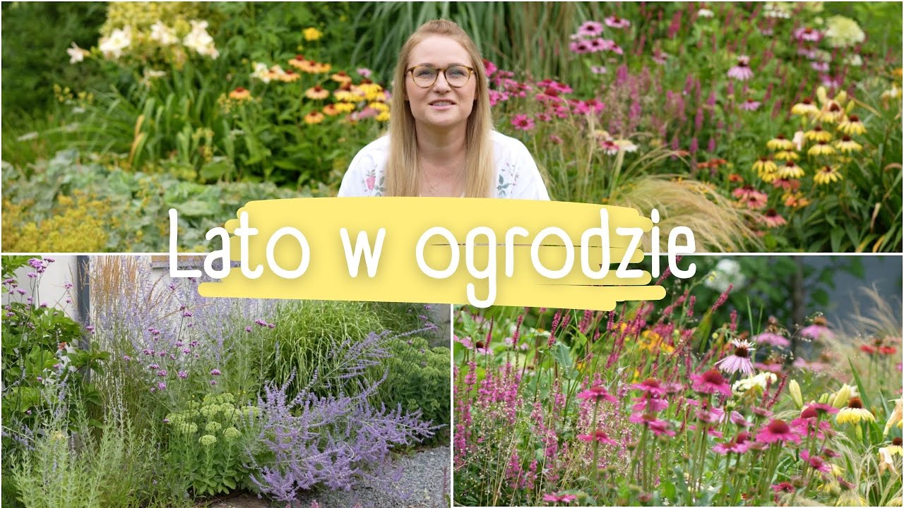 Porzuciłam ogród na 2 tygodnie 😨 Zbieram nasiona☝️ Co kwitnie i spacer po ogrodzie 🌼