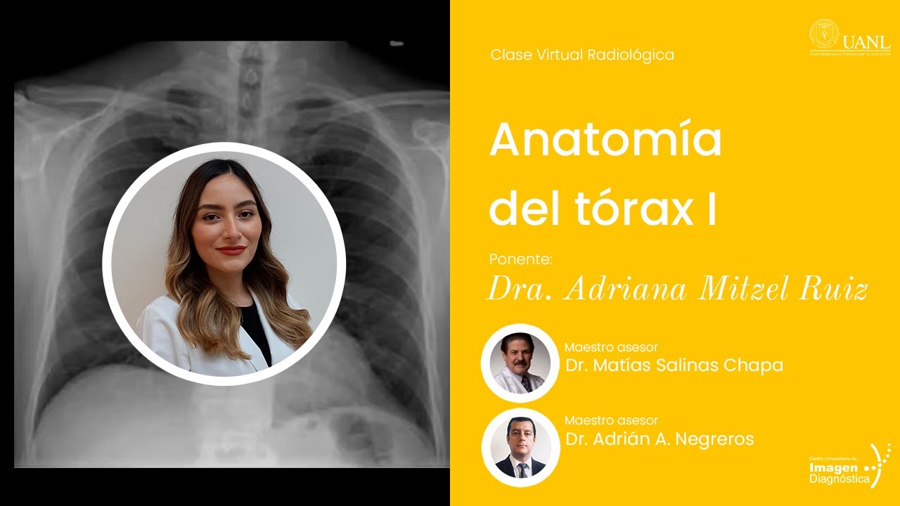 Anatomía del tórax I por la Dra. Mitzel Ruiz.
