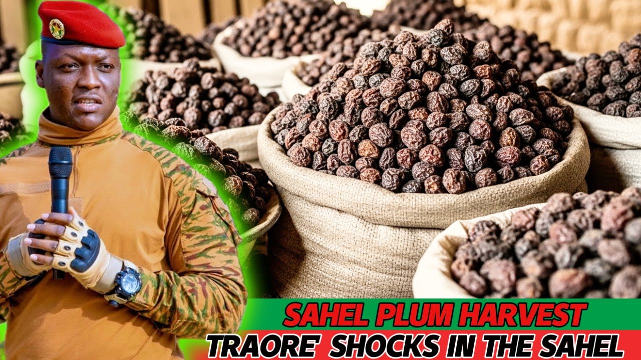 Why Burkina Faso Is Turning the Sahel Sun Into a Dried Plum Industry ??