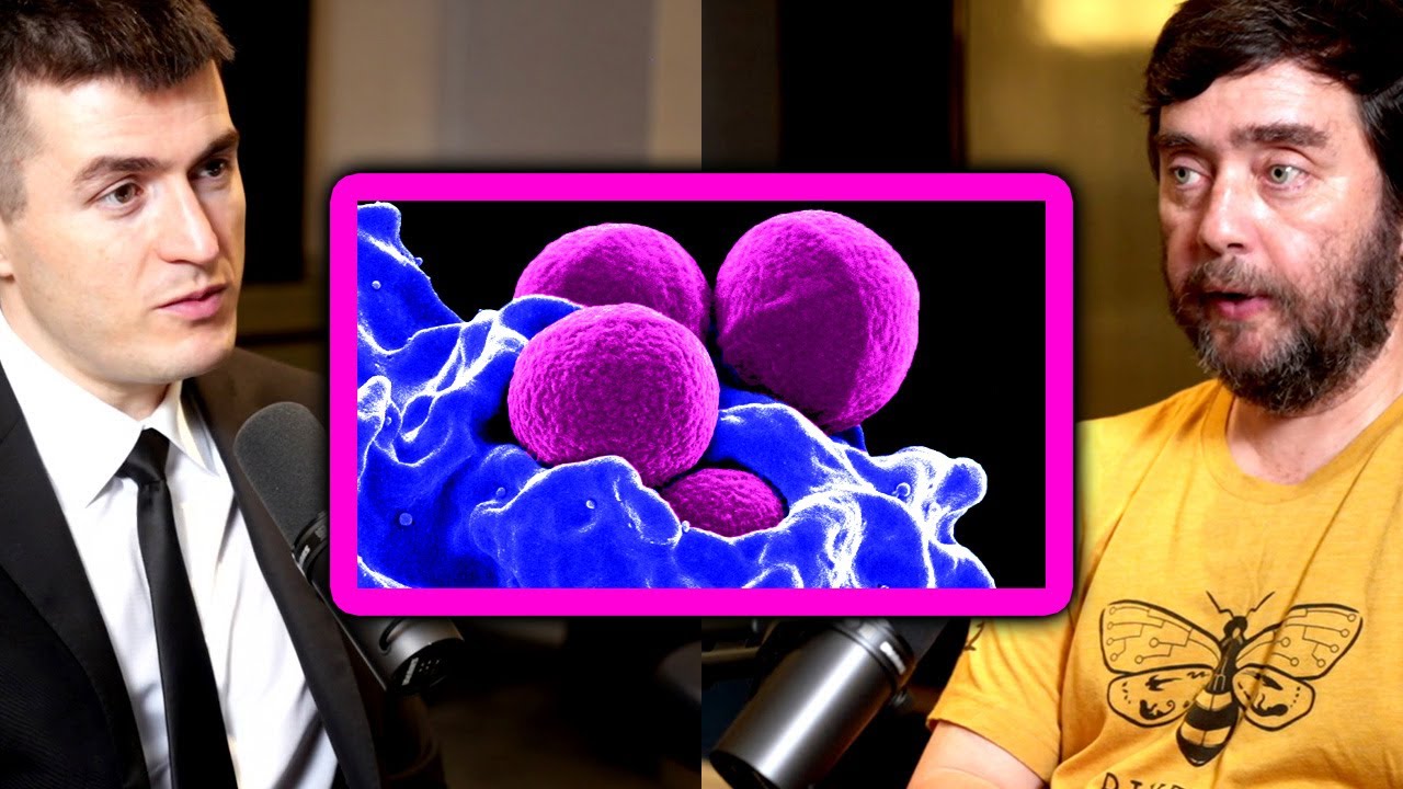 A human is not one organism: We're billions of organisms | Michael Levin and Lex Fridman