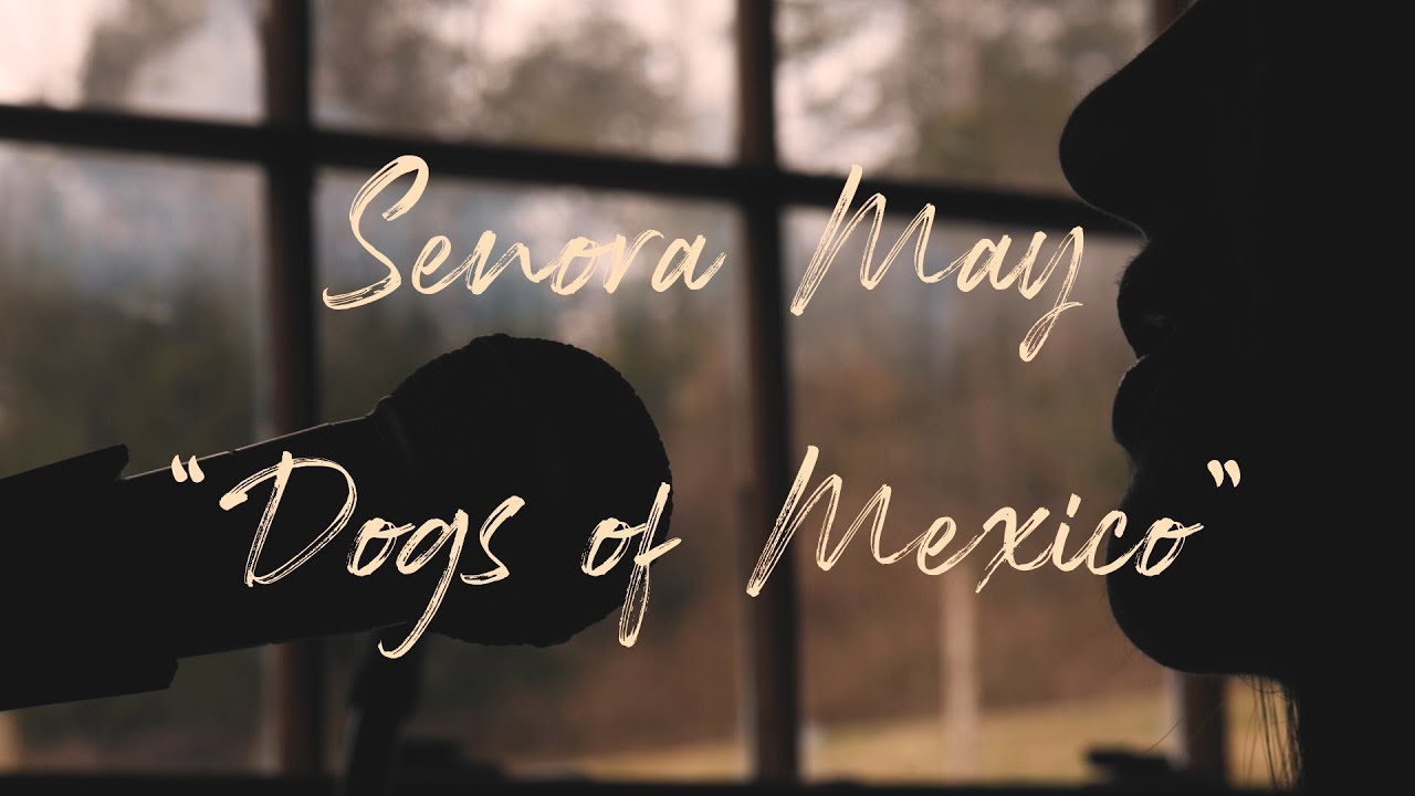Senora May - Dogs of Mexico | Sunny Sessions