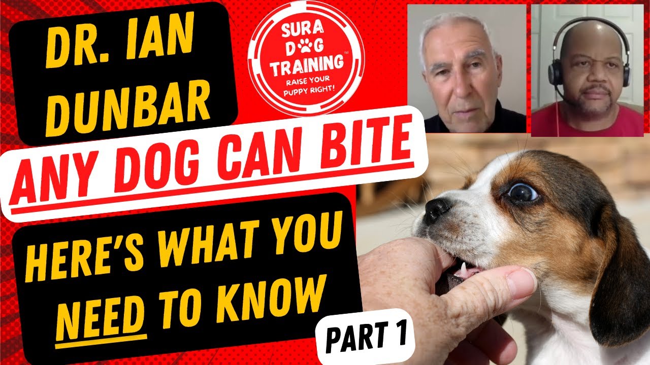 Dr. Ian Dunbar: Any Dog Can Bite--Here's What You Need to Know, Part 1