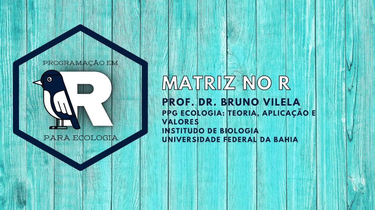 Aula 18 - Matriz no R