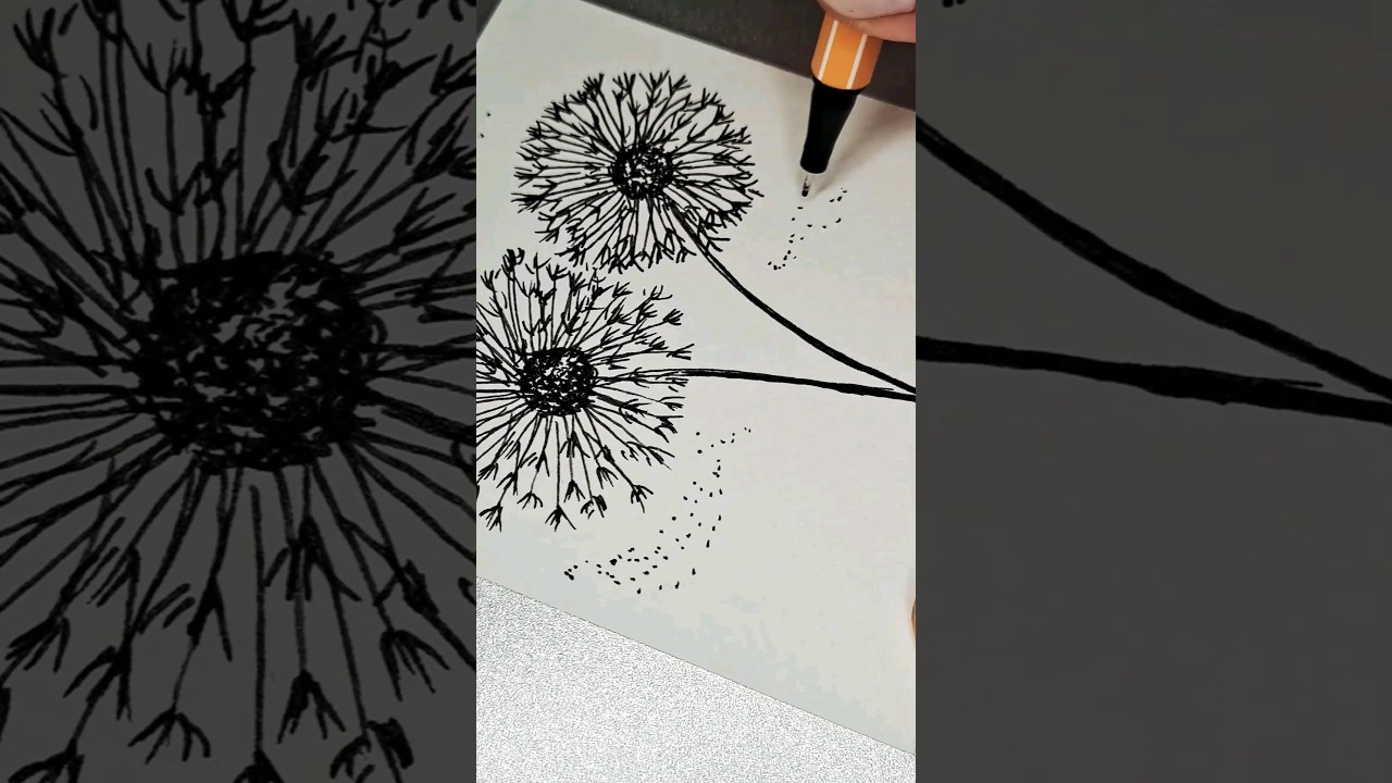 Dessin pissenlit au feutre #pissenlit #art