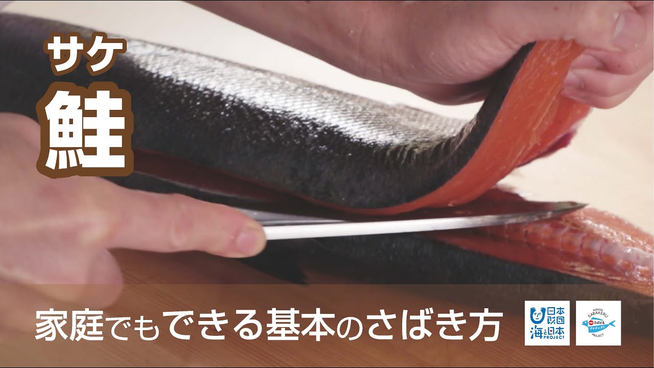 鮭（さけ）のさばき方 - How to filet Salmon -｜日本さばけるプロジェクト（海と日本プロジェクト）