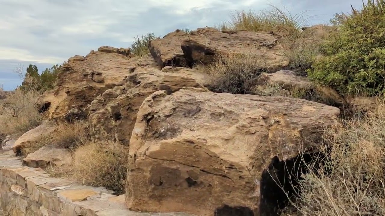 WALKING...VALLEY OF FIRES BLM NEW MEXICO
