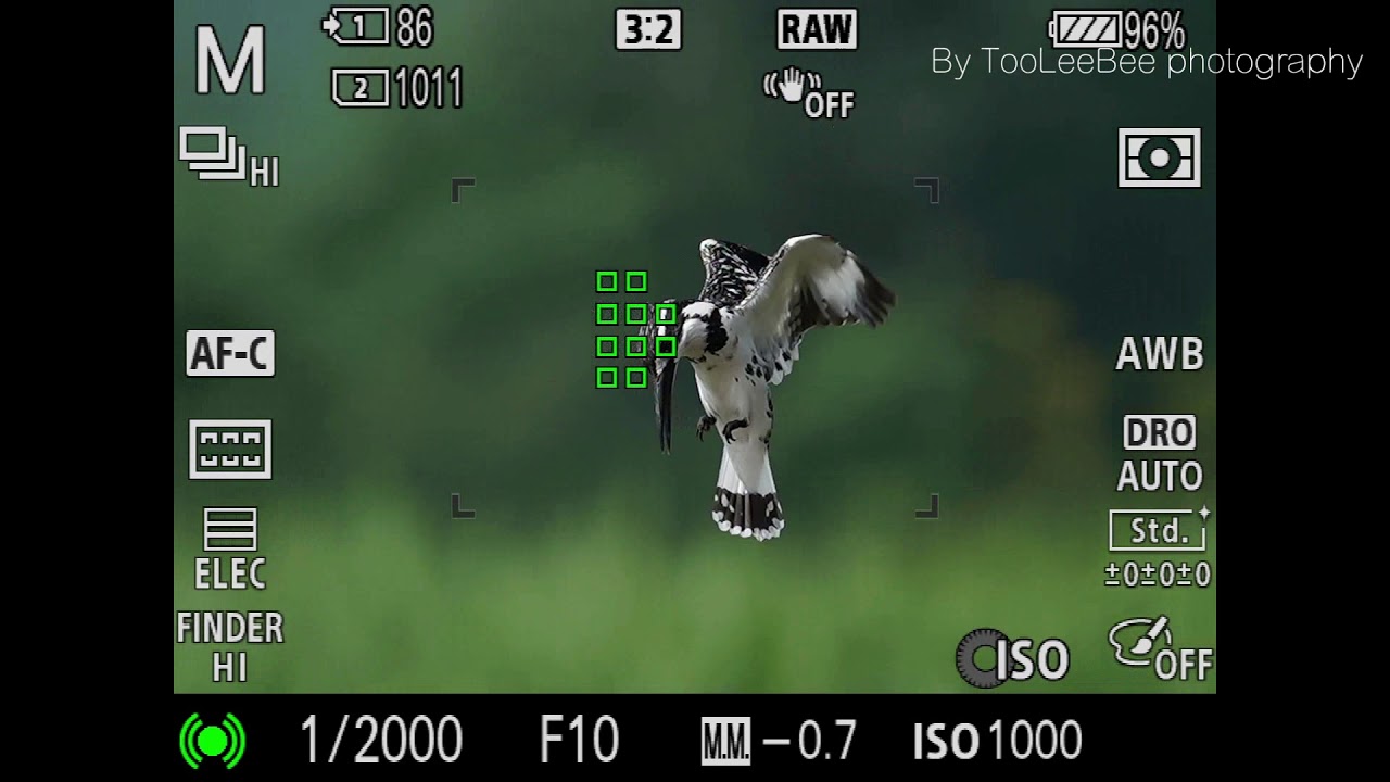 Sony SEL200600G +SEL14TC AF performance 2