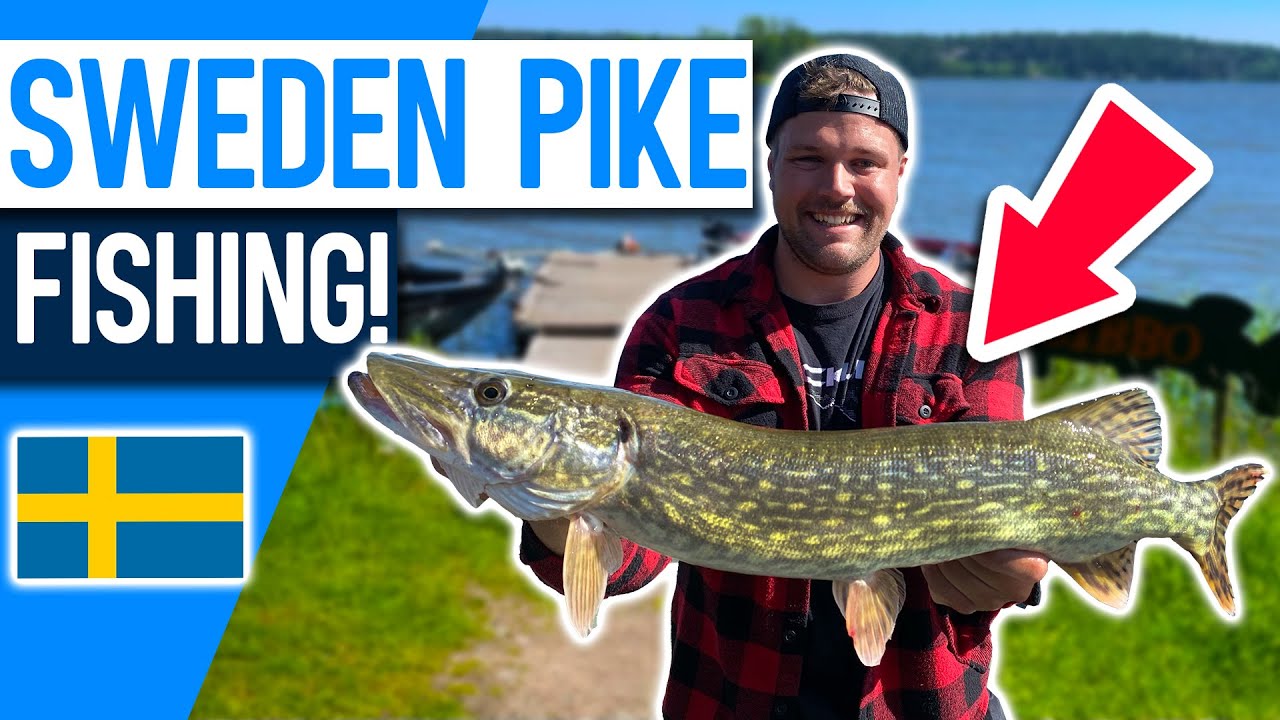 Guided Pike Fishing Lake Sibbo in Sweden! Day 1