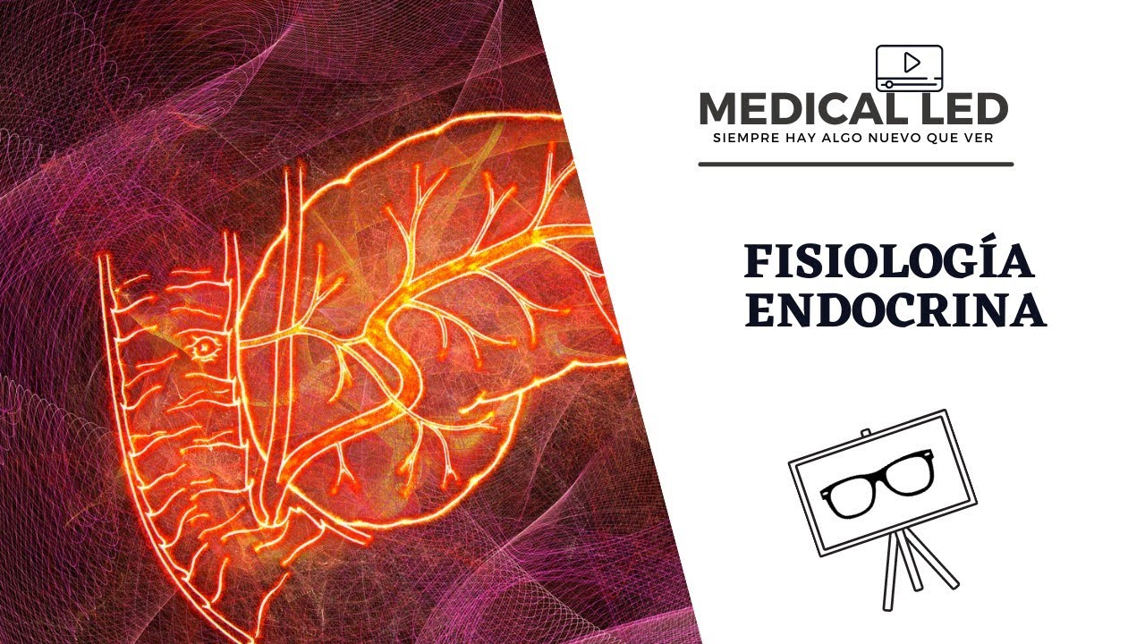 FISIOLOG&Iacute;A ENDOCRINA: Generalidades y tipos de hormonas