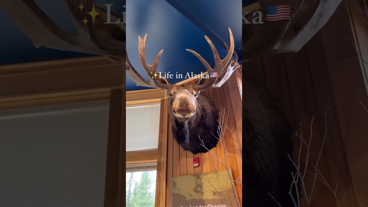 Alaska feels like another country but still🇺🇸 #alaskaroadtrip #alaskalife