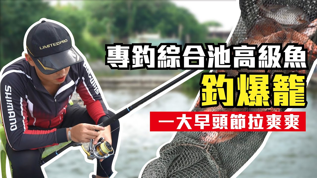 【海釣場系列】專釣綜合池的高級魚 ? 紅雞母釣到爆籠 ! | 海釣場Ep.2 | 林園南台灣 | 九班的日常生活 |#釣魚#海釣場#綜合池#紅雞母#紅魚