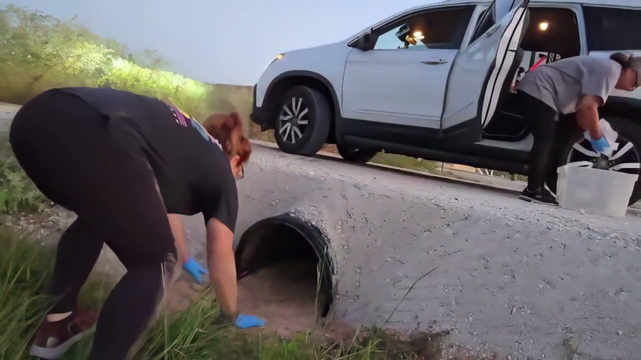 Woman Crawls Down Pipe After Hearing Crying Puppies