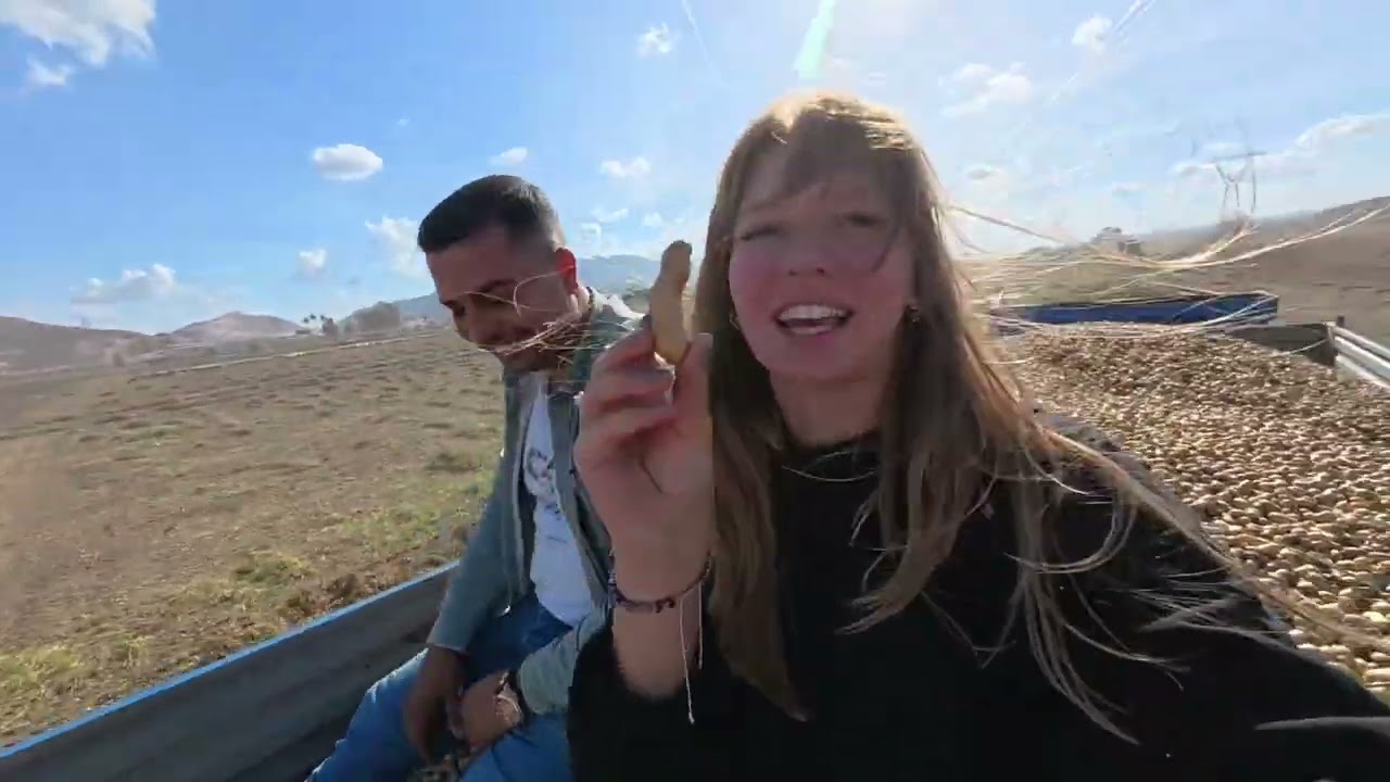 BENİMLE BİR PAZAR VLOG bu bir ekip işi; fıstık sökümü, zeytin toplama, fabrika ve daha fazlası