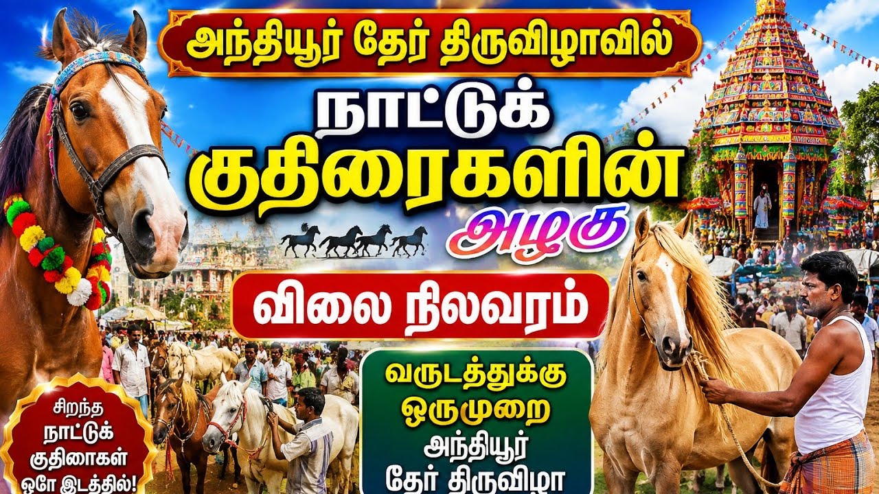 அந்தியூர் /தேர் /திருவிழா/#அந்தியூர் #தேர் #திருவிழா  #மக்கள்வண்டி 