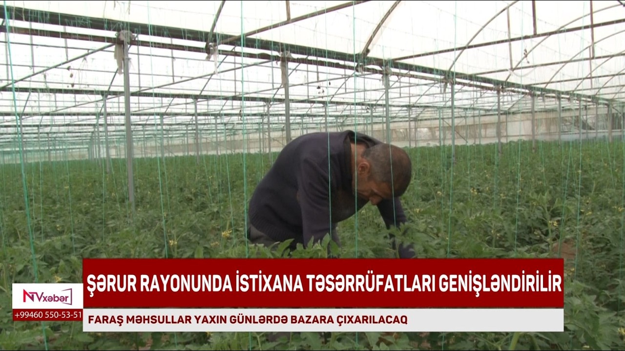 ŞƏRUR RAYONUNDA İSTİXANA TƏSƏRR&Uuml;FATLARI GENİŞLƏNDİRİLİR