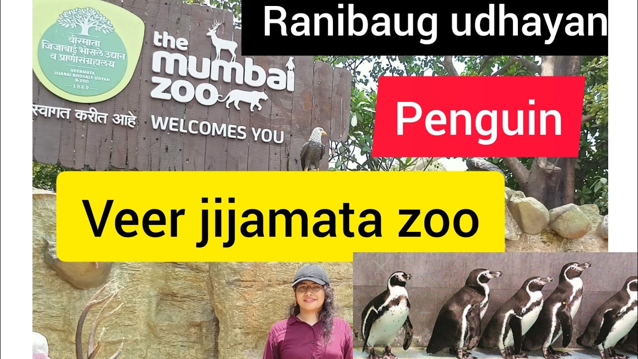 Mumbai zoo part -2 /veer jijamata zoo #zoo #animalzoo #birdzoo #mumbaizoo #mumbai #penguins #turtle