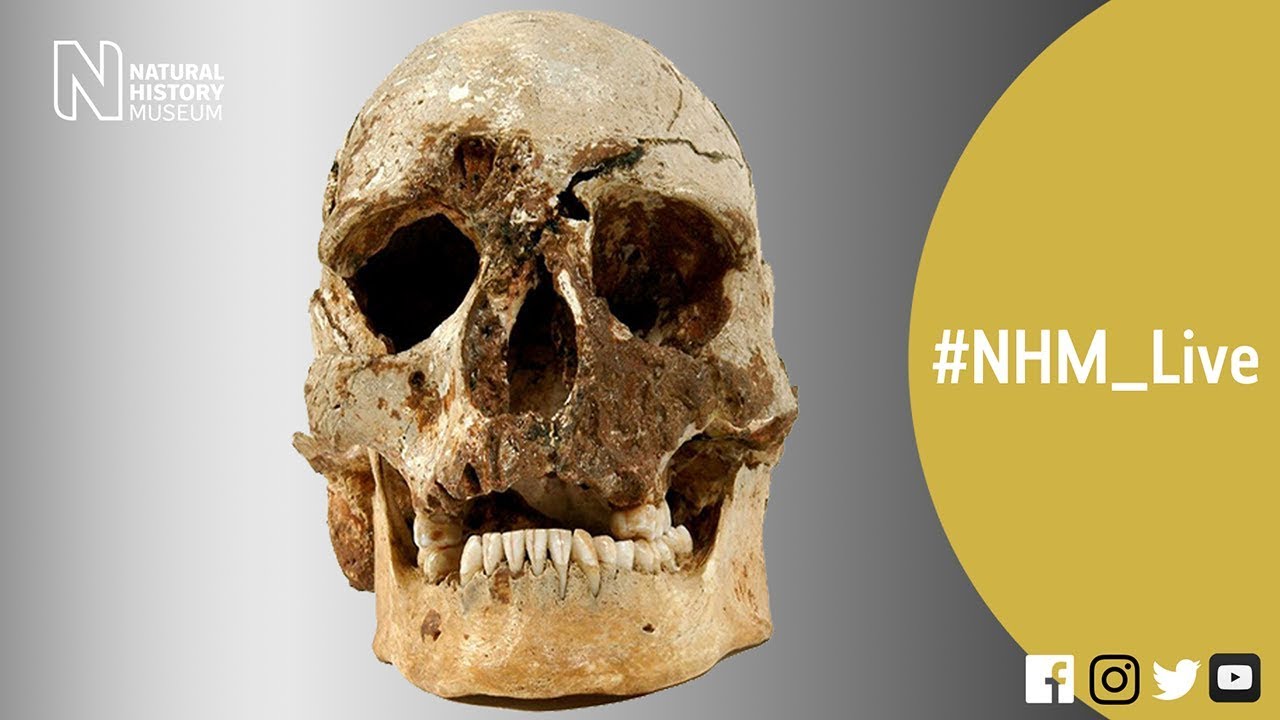 Кем был Чеддермен? | #NHM_Live