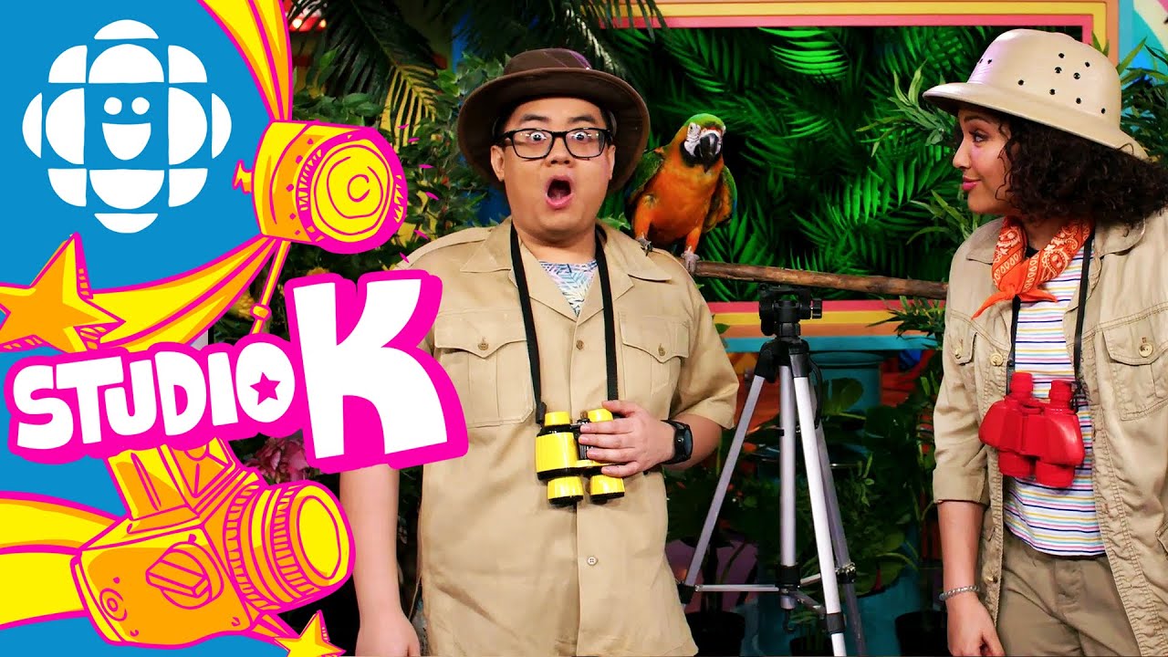 Studio K Safari: Macaw | CBC Kids