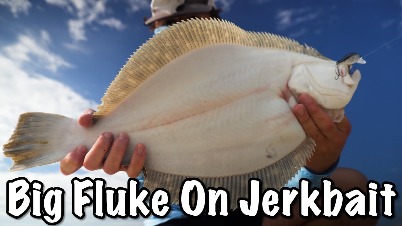 Using Jerkbaits to Catch a Giant Fluke From Shore! (New Best Lure For Big Keeper Fluke/Flounder)