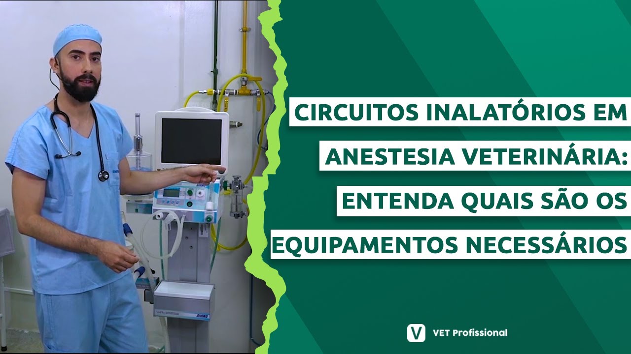 Circuitos inalatórios em anestesia veterinária: entenda quais são os equipamentos necessários