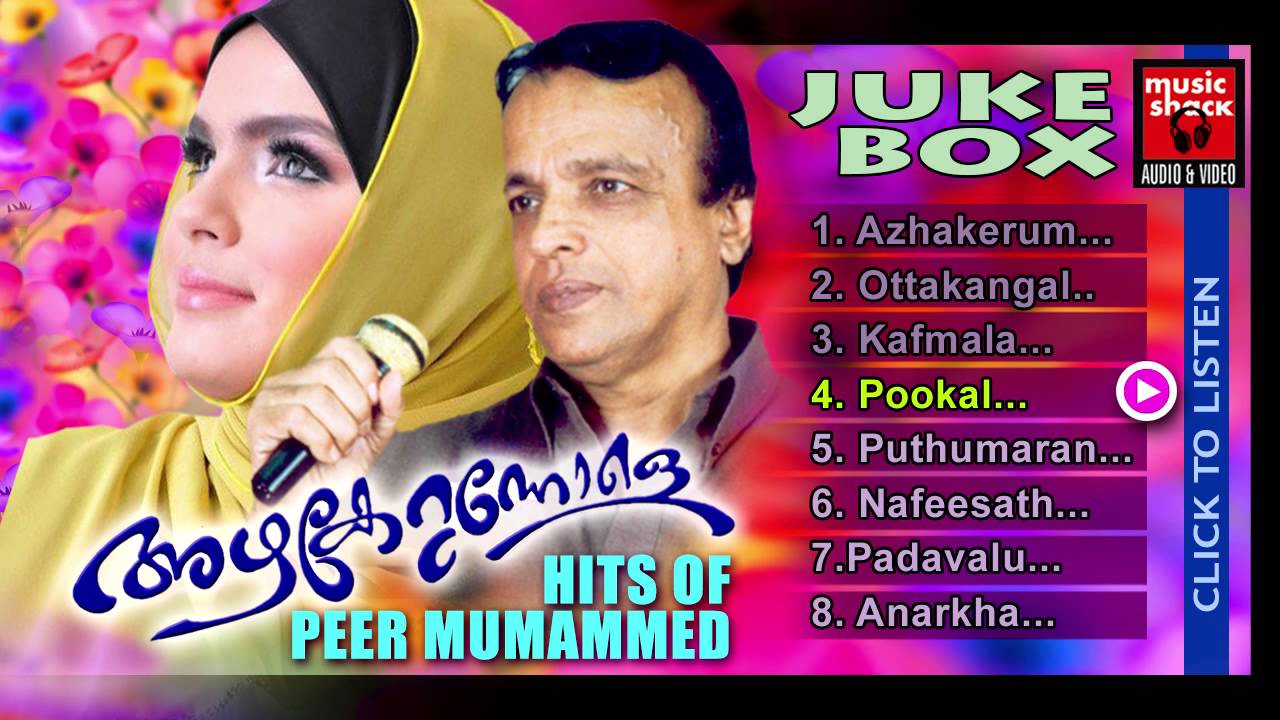 അഴകേറുന്നോളെ ...Mappila Pattukal Old Is Gold | Peer Muhammed Malayalam Mappila Audio Jukebox