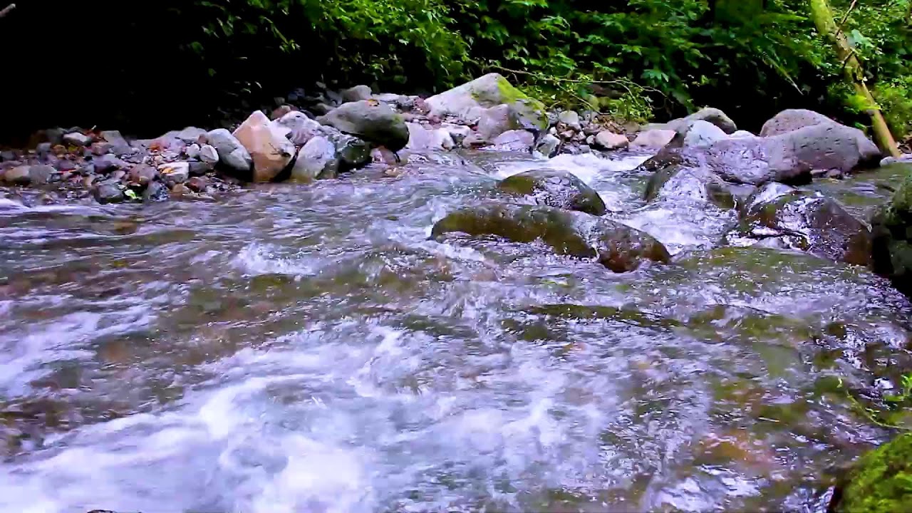 Mountain Stream in Quiet Forest | Relaxing White Noise for Stress Relief