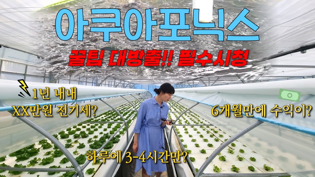 [부유한 농업 이야기]  아쿠아포닉스 꿀팁대방출!! 필수시청
