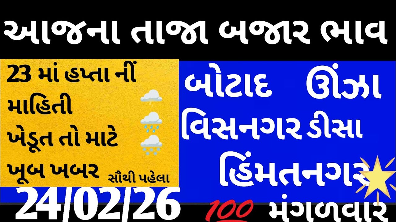 આજના બજાર ભાવ જાણો| બોટાદ હિંમતનગર ડીસા ઊંઝા અને વિસનગર   ‎⁨જાણો પહેલા 