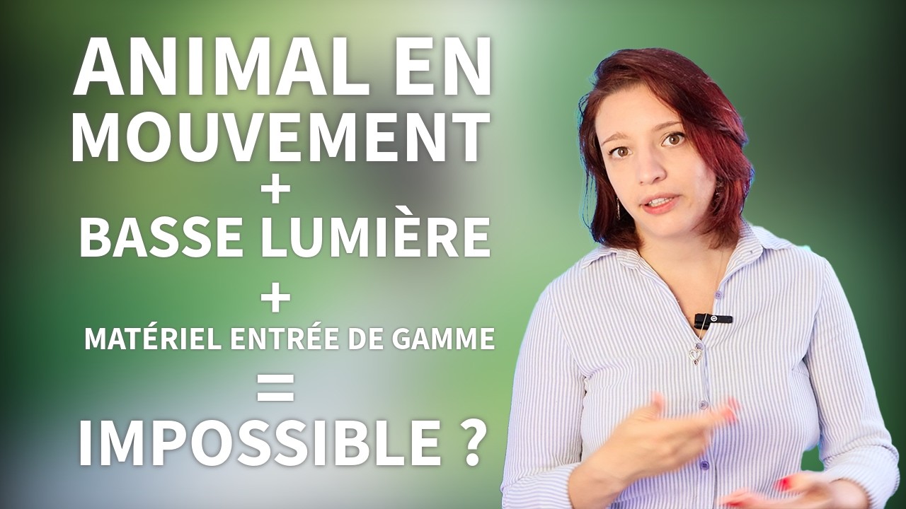 Animal en mouvement sans lumière = photo impossible ?