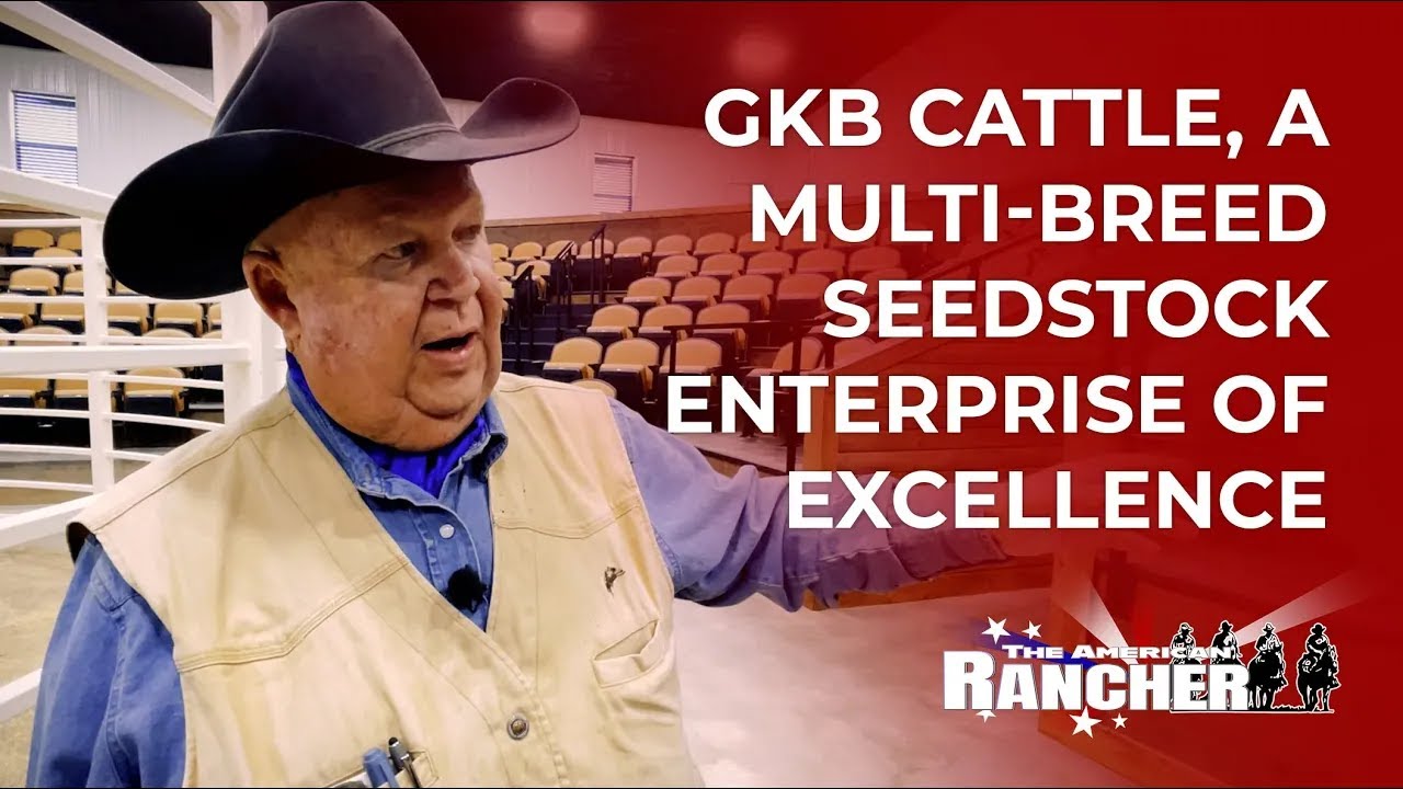 GKB Cattle Co   The American Rancher   03 04 2024