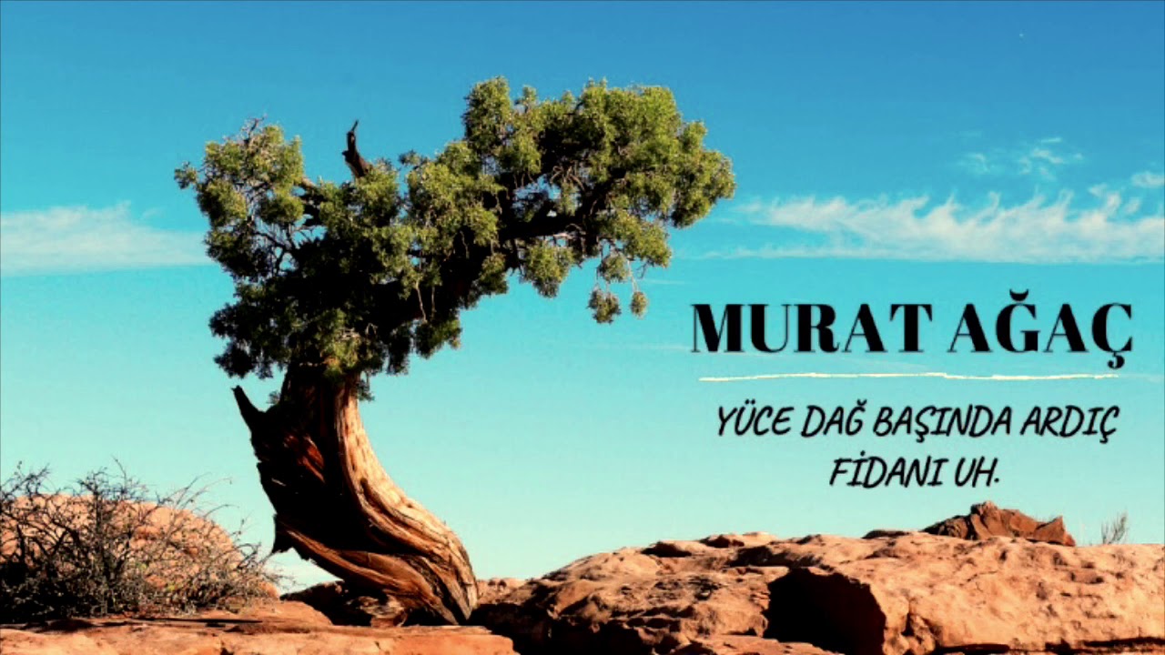 Murat Ağaç - Yüce Dağ Başında Ardıç Fidanı Uh.