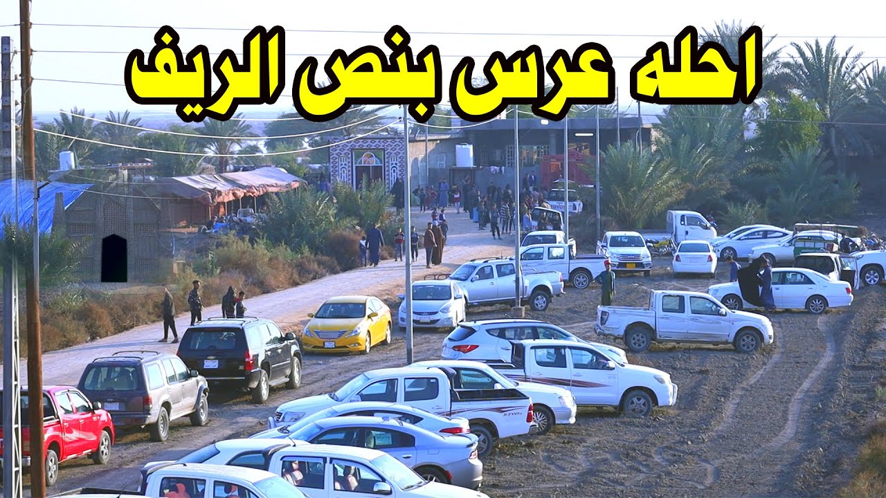 الاعراس في ريف البصرة قضاء المدينه # زفاف السيد حمزه السيد طالب بيت السيد لراضي الغالبي الكرام